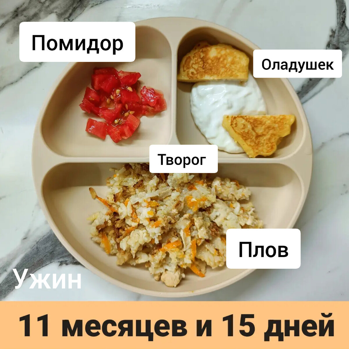 Пример тарелки в 11 месяцев 