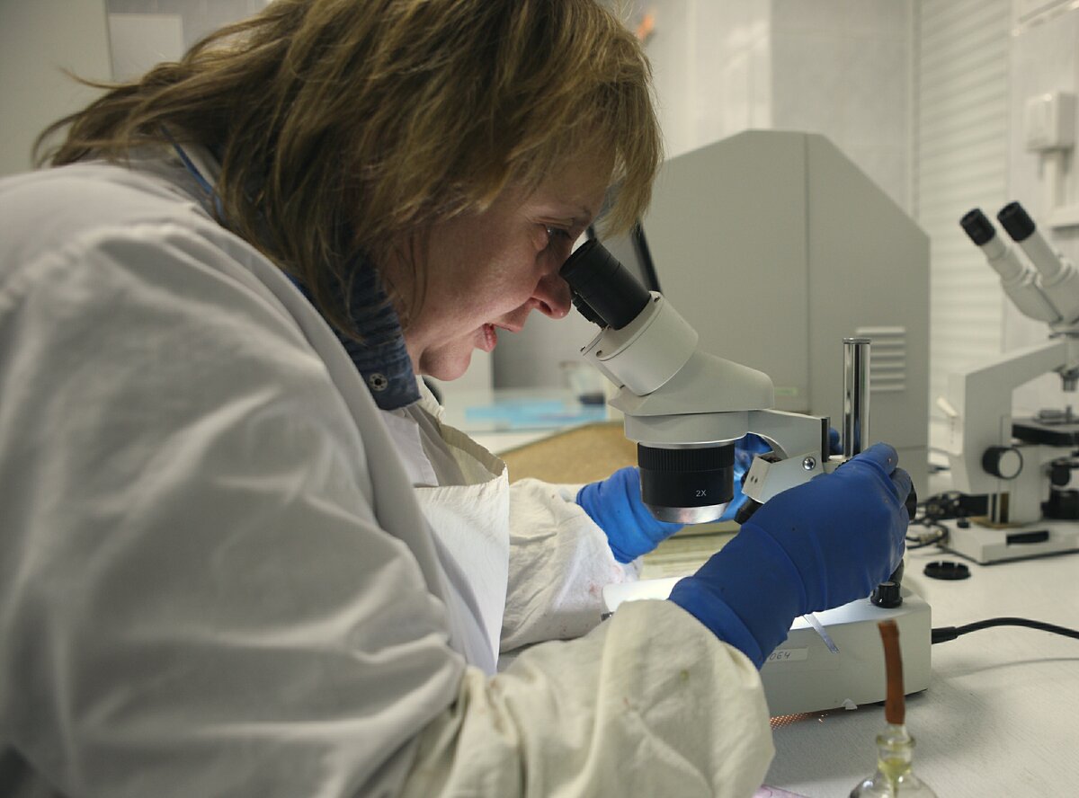 ЛАБОРАТОРНЫЕ ЭКСПЕРИМЕНТЫ МОГУТ НЕСТИ ПОЛЬЗУ, А МОГУТ - ОПАСНОСТЬ ДЛЯ ЛЮДЕЙ. ФОТО: ALEXEY POROKHOVNIKOV/RUSSIAN LOOK/GLOBALLOOKPRESS