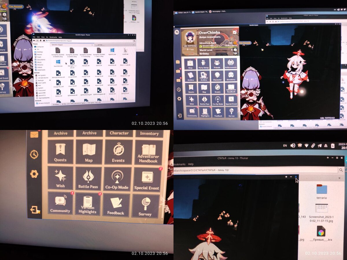Genshin Impact и Linux, или как найти себе приключений на ровном месте |  OVERCLOCKERS.RU | Дзен