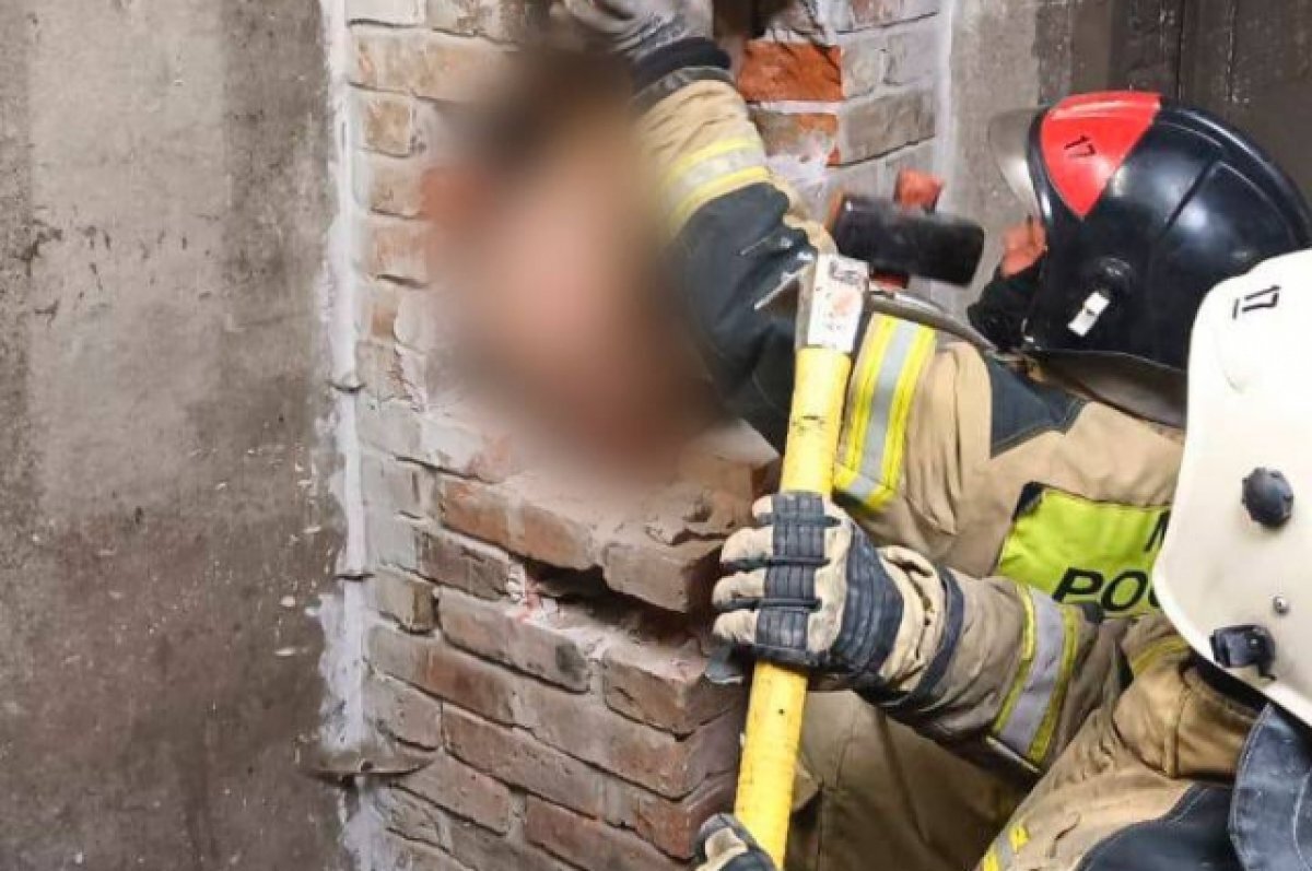    Под Калининградом спасатели достали застрявшего в дымоходе голого мужчину