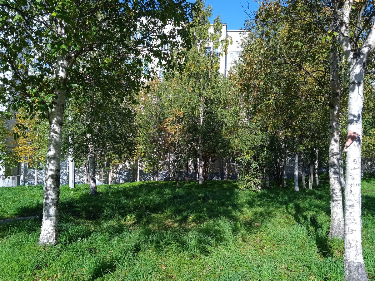 Неделю назад ещё и солнышко было.
