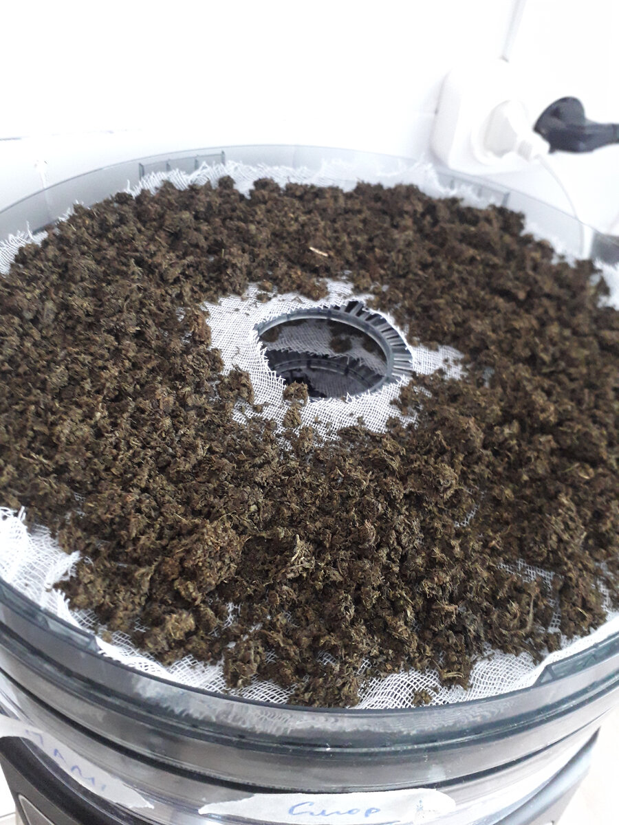 Сушка ферментированного чая и ферментированного листа смородины и малины