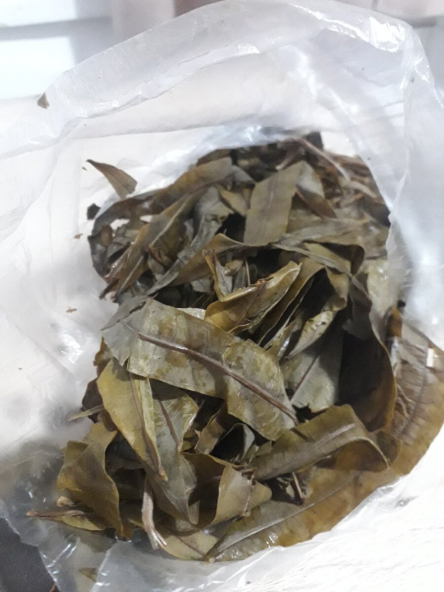 Лист после разморозки