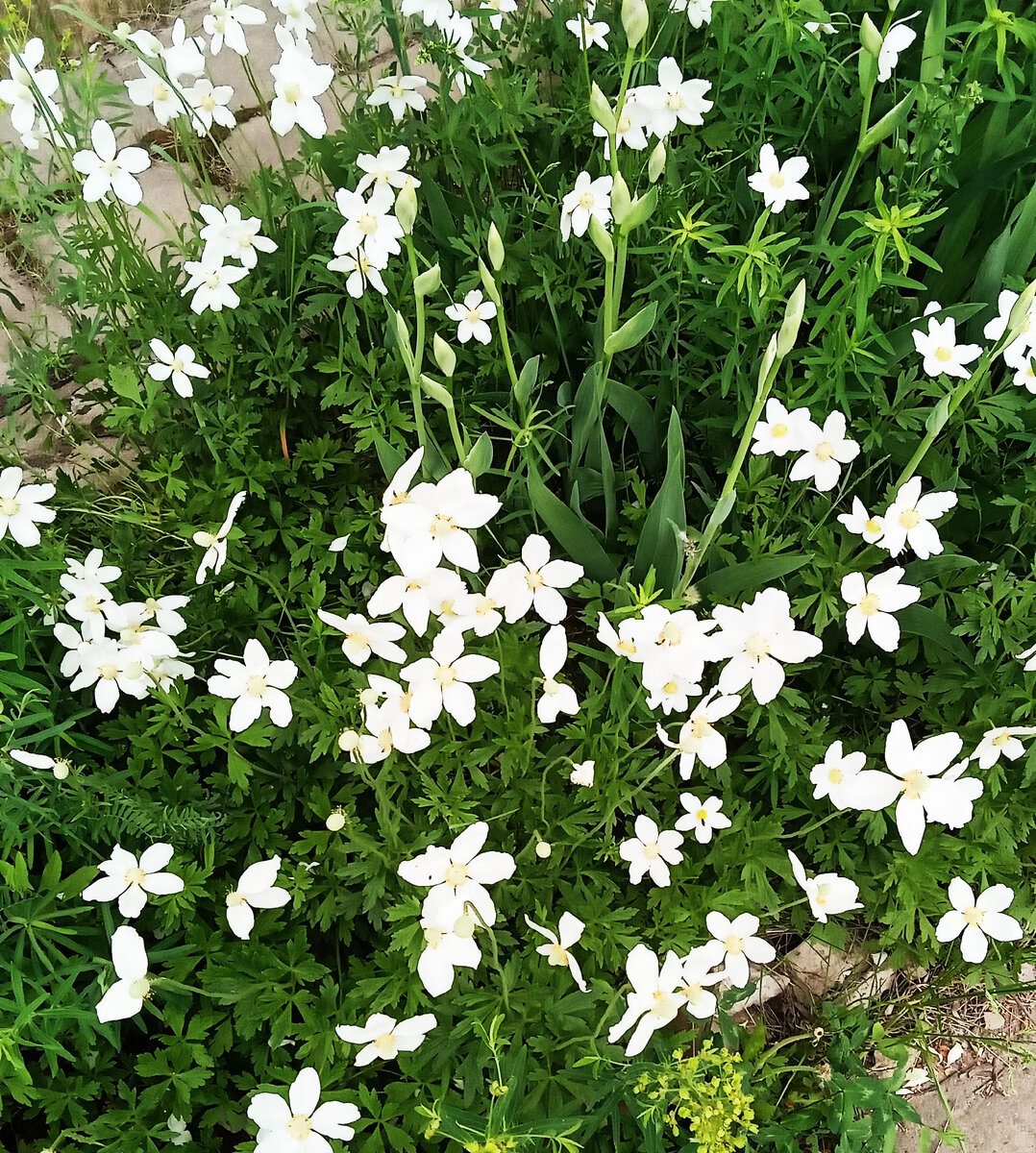 Весна. Фото автора канала.