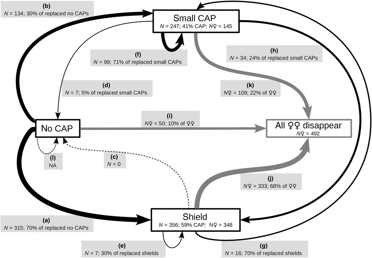   Ádám Gór et al. / Ecology and Evolution, 2023