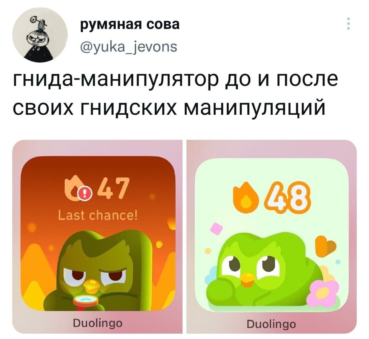 Маниакальная сова Duolingo стала маниакальным мемом | Fishki.Net | Дзен