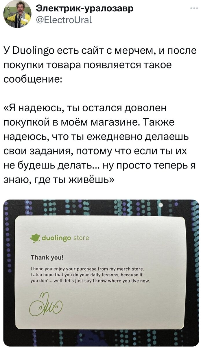 Маниакальная сова Duolingo стала маниакальным мемом | Fishki.Net | Дзен