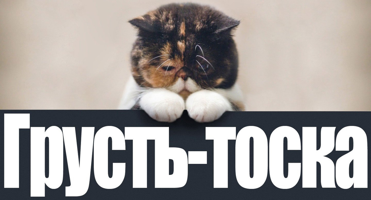 Яндекс Картинки.