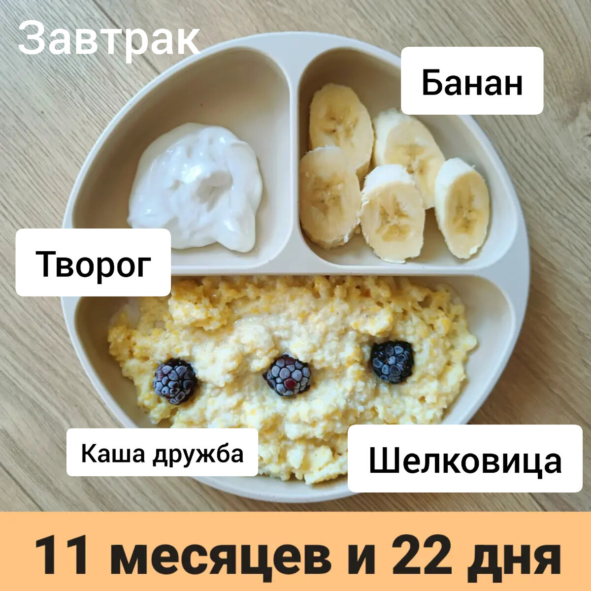 Пример тарелки в 11 месяцев 