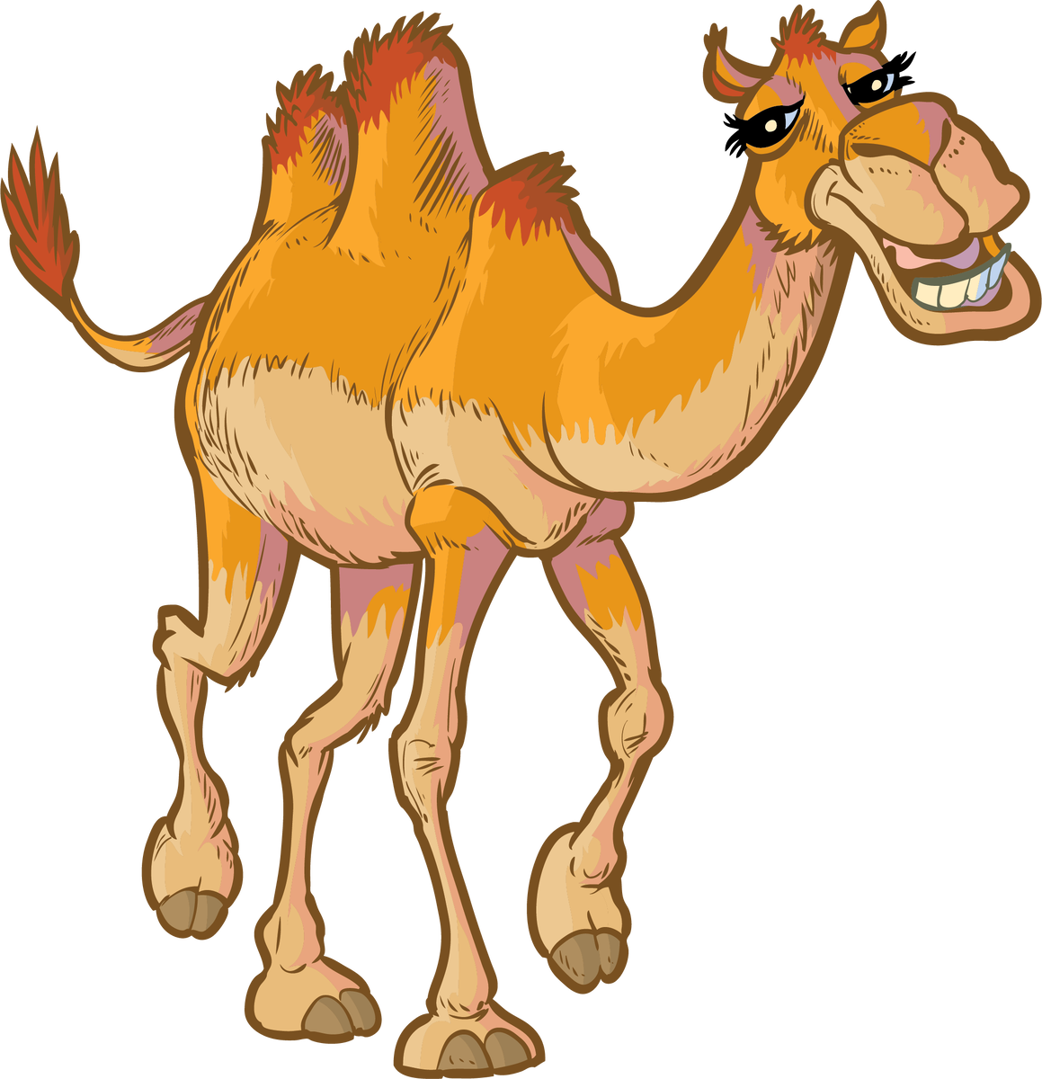 Картинка из интернета