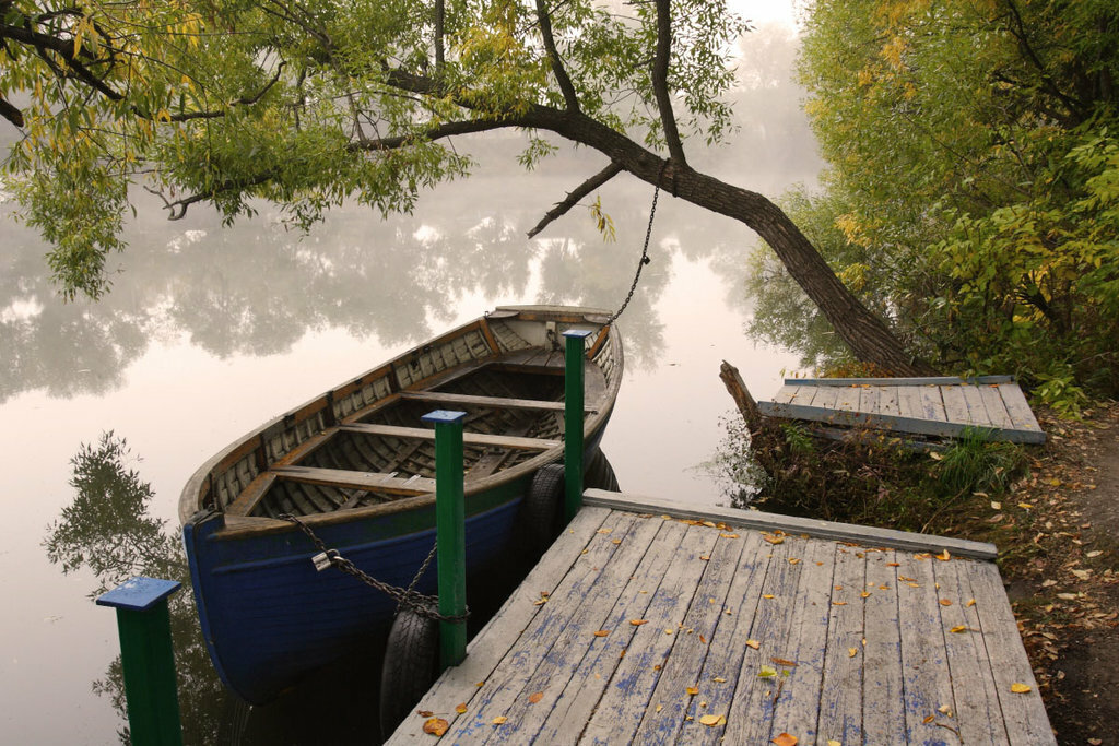 В водоёмах заповедника «Присурский» растёт такой редкий вид, как плавающий водяной орех, занесённый в Красную книгу России. Источник фото: Яндекс Карты. Автор: Маx K.