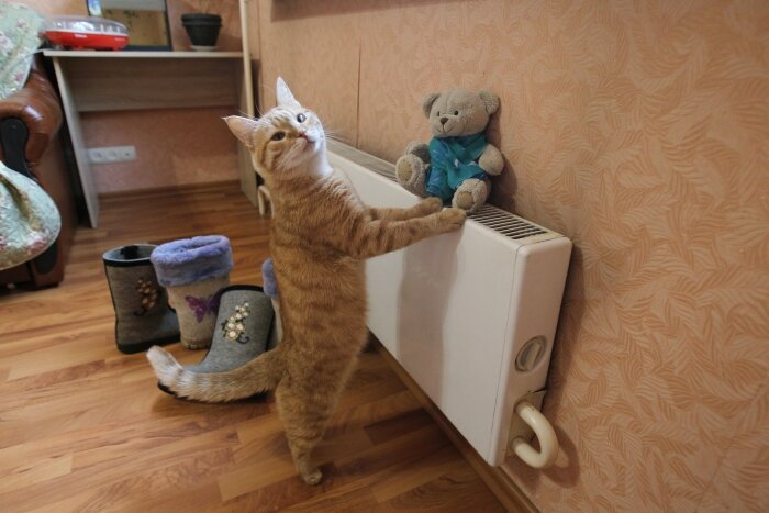 РИА Новости. Мария Девахина