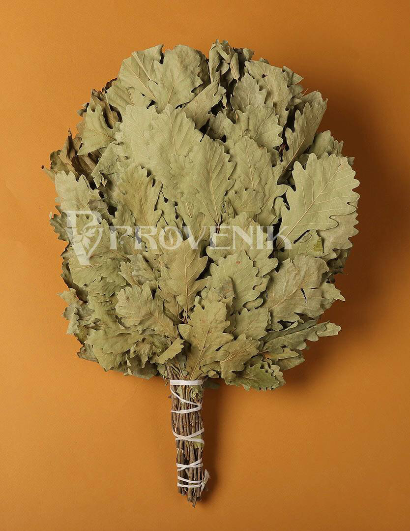 Дуб кавказский