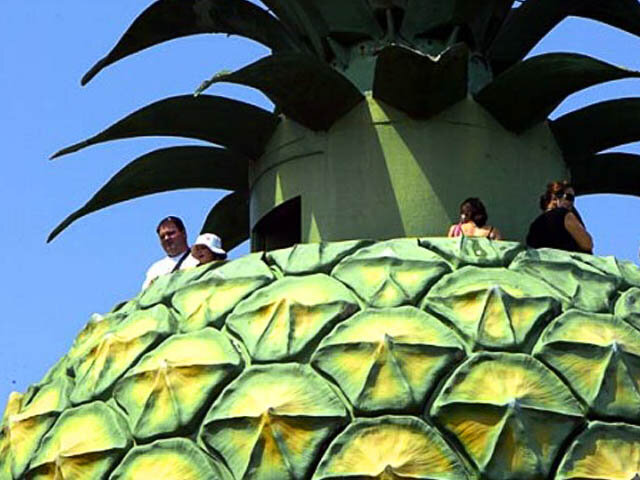 Смотровая площадка.