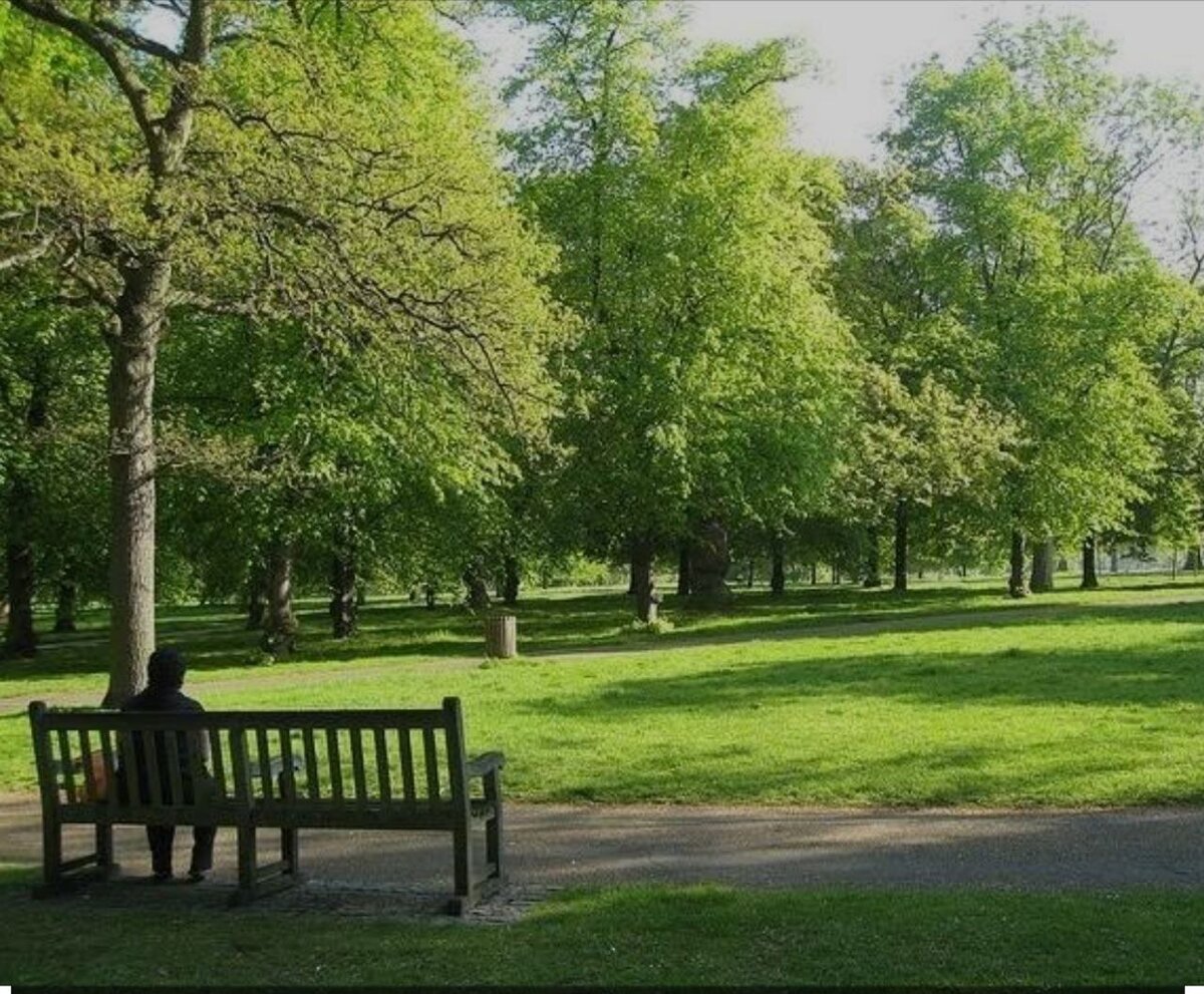 Park. Бондвик сквер Лондон. Кенсингтон парк в Лондоне лавочки. Хатфилд парки. Лондонский гайд парк скамейка.