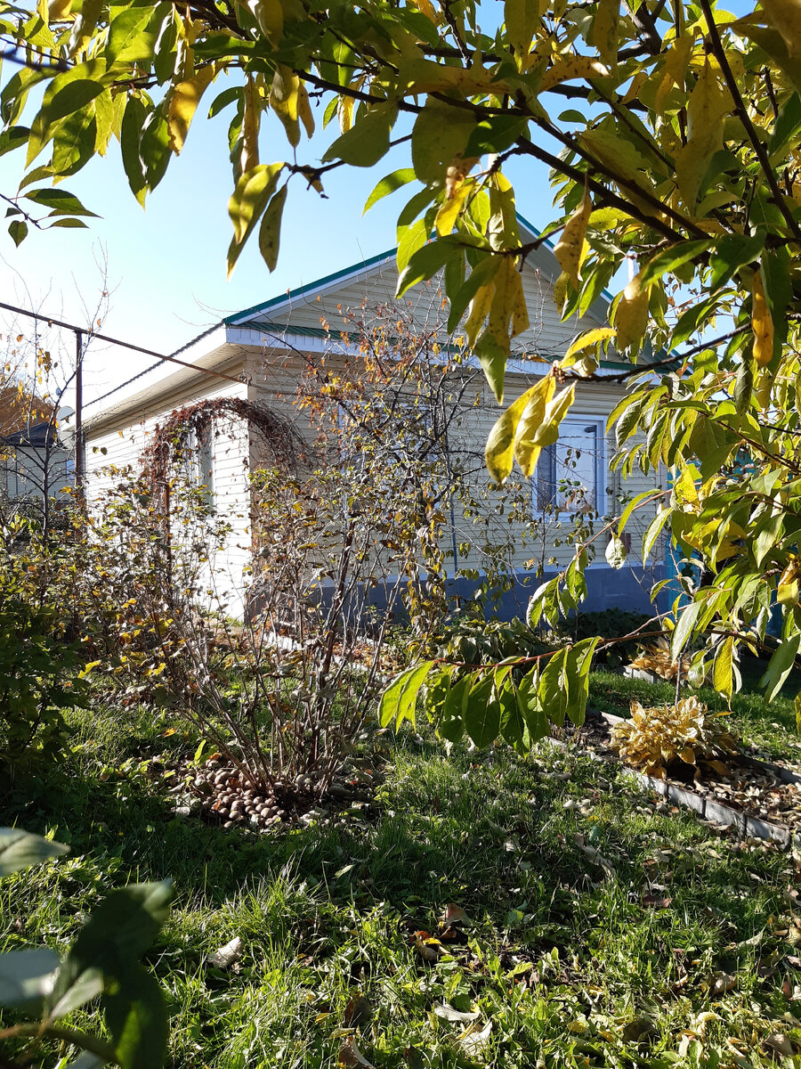 Фото из архива. Урал. Свердловская область. 4 октября 2020г