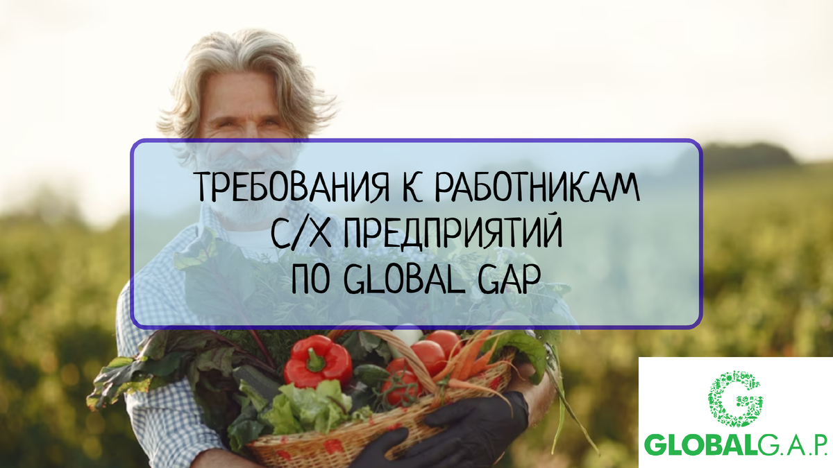 Узнайте, какие требования к работникам сельскохозяйственных предприятий устанавливает стандарт GLOBAL GAP и как это влияет на их условия труда. Разбираем все детали