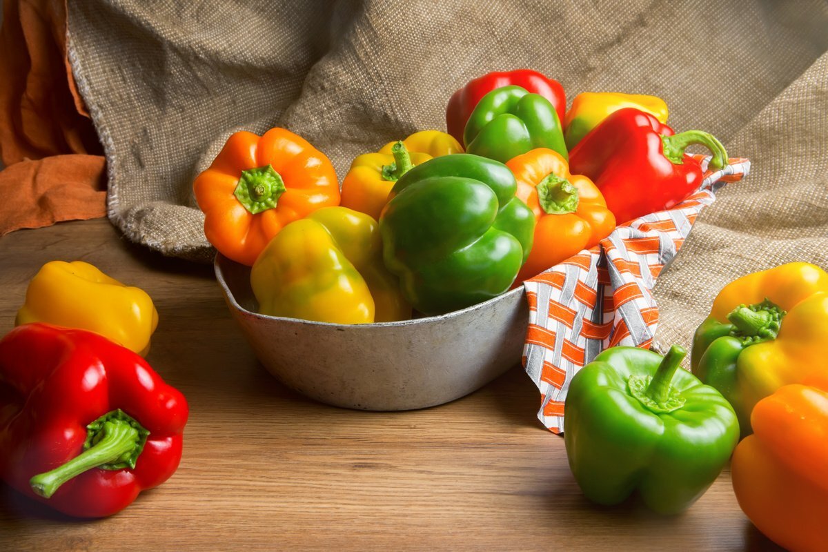 фото из открытых источников