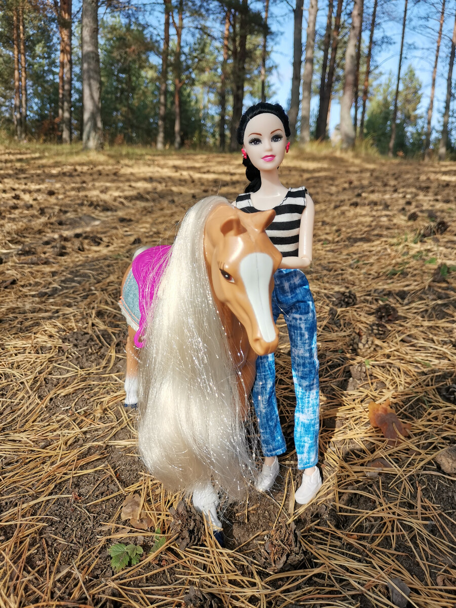 И вот однажды она вывела Хай Степпер на прогулку