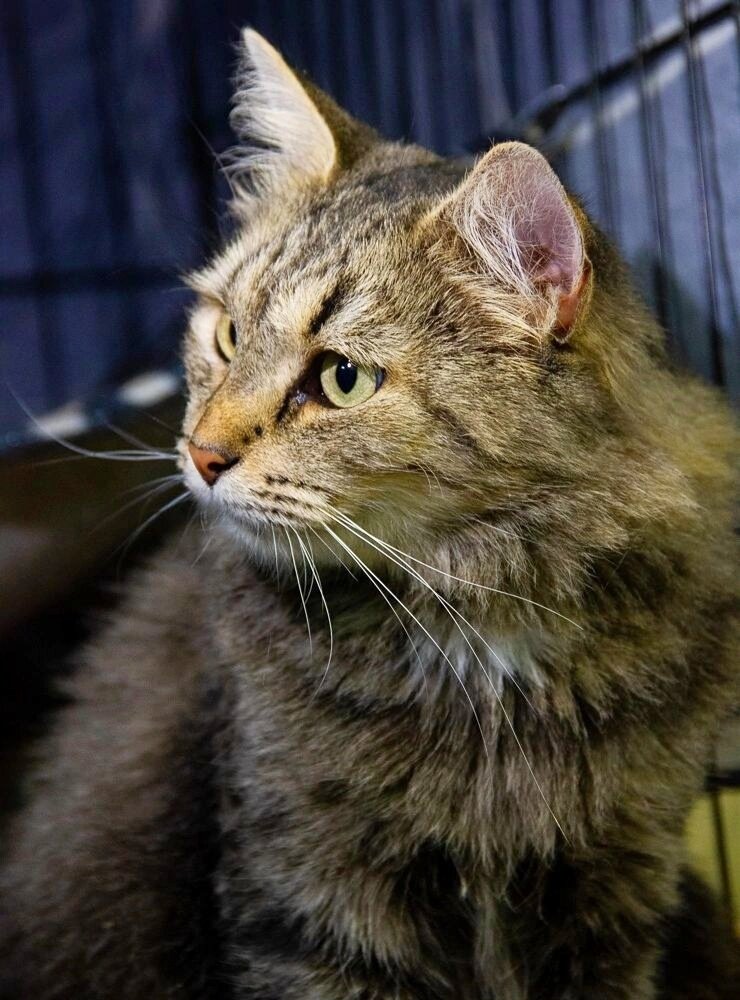 Красавица Даниэль +7(926)895-85-05 Настя, +7(929)983-12-34 Любовь, +7(916)220-79-70 Ирина