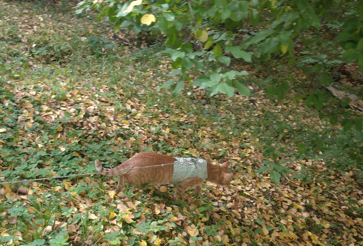 -1-3