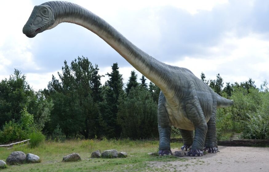    В Европе обнаружен гигантский, никогда ранее не встречавшийся динозавр-титан