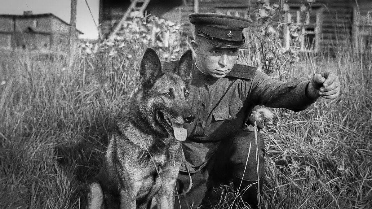 яндекс картинки 