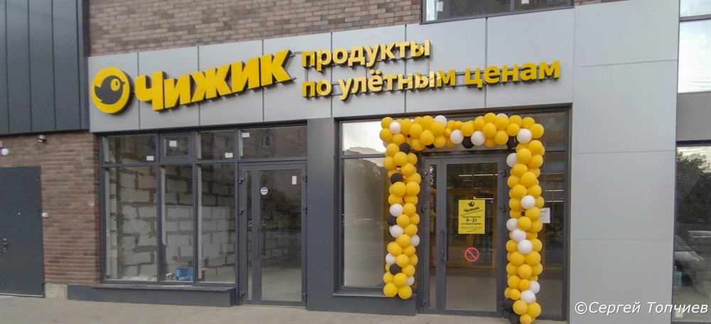 Весёлая и страшненькая птичка