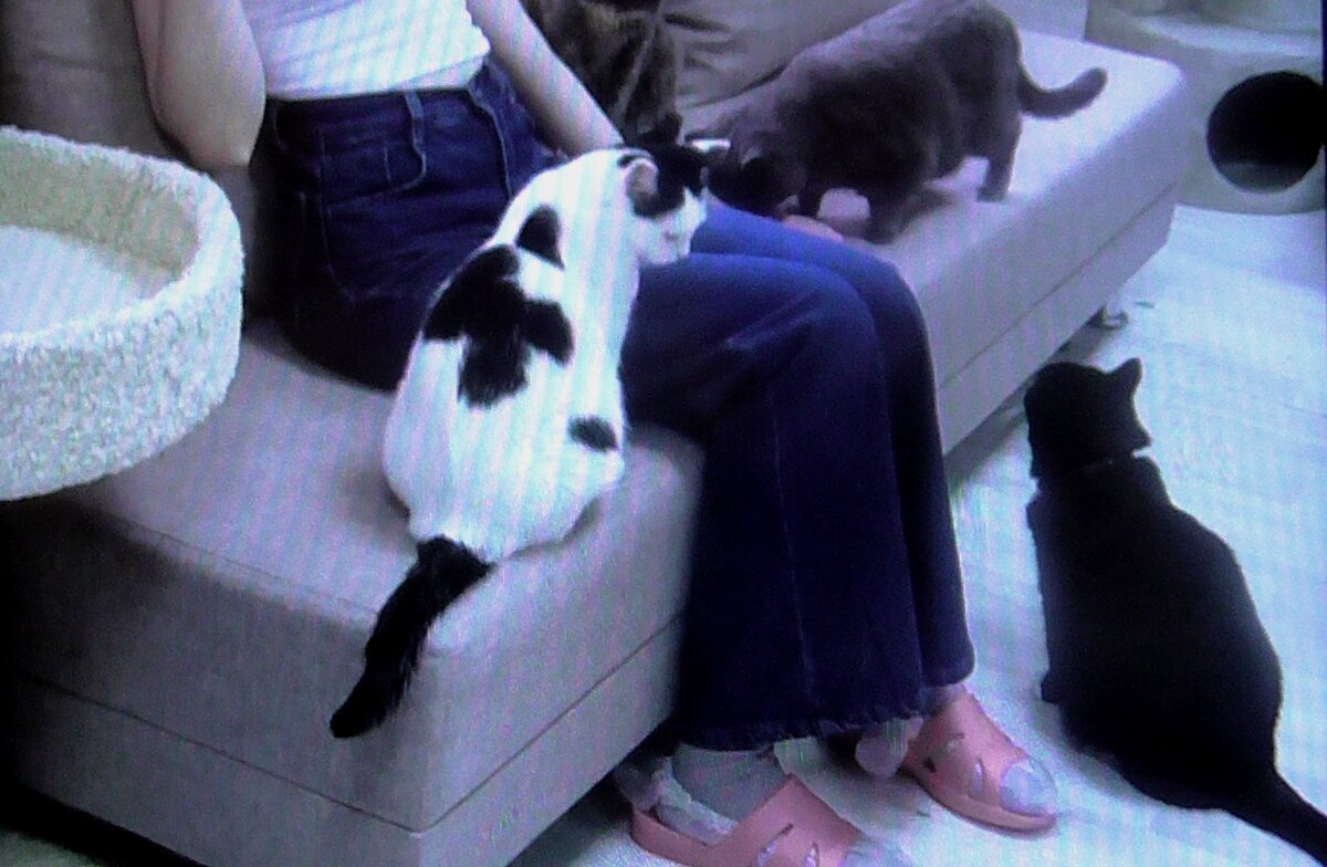 фото из личной коллекции