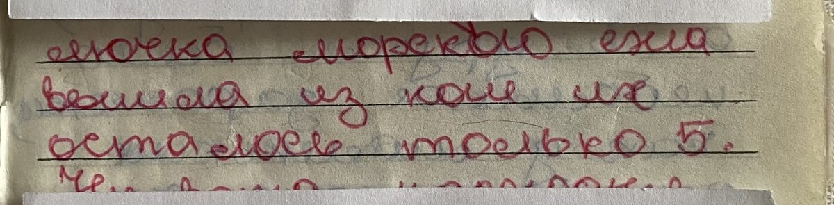 «Как все-таки странно, что такие мелочи вдруг приходят на память, а то, что волновало когда-то, с годами забывается.» (Цитата из книги «Дневник»).