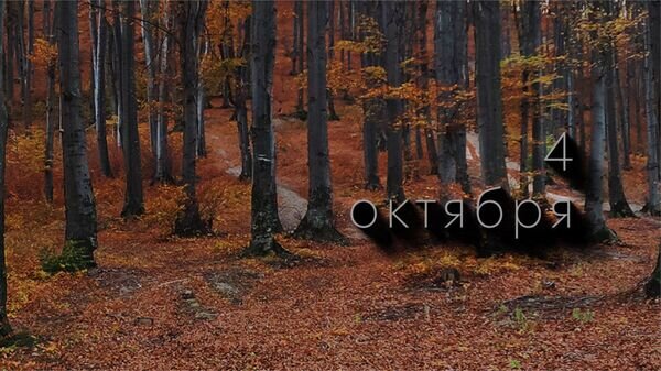    © Photo : Dids: Pexels