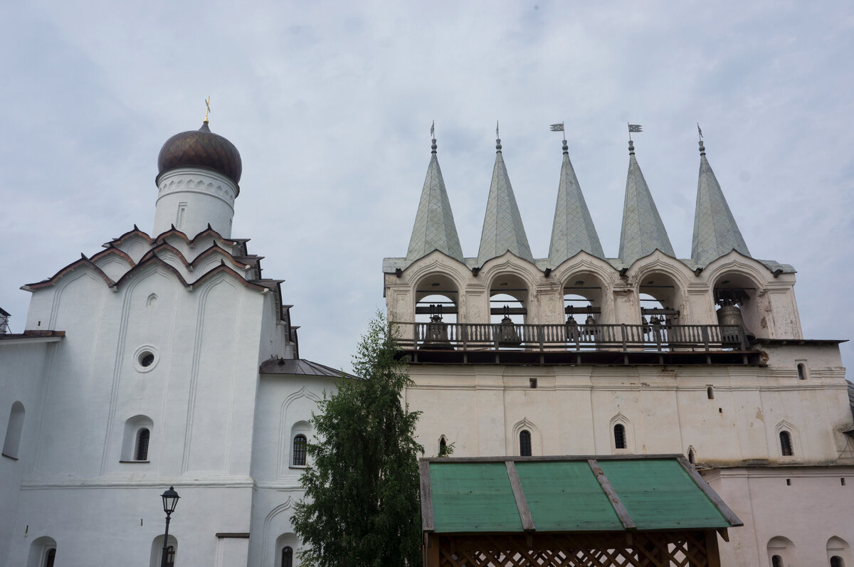 Автор фото: Надежда Савинова 