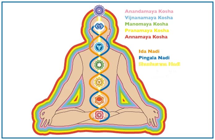 Пять коши - оболочек человека. Изображение: YogaVanam