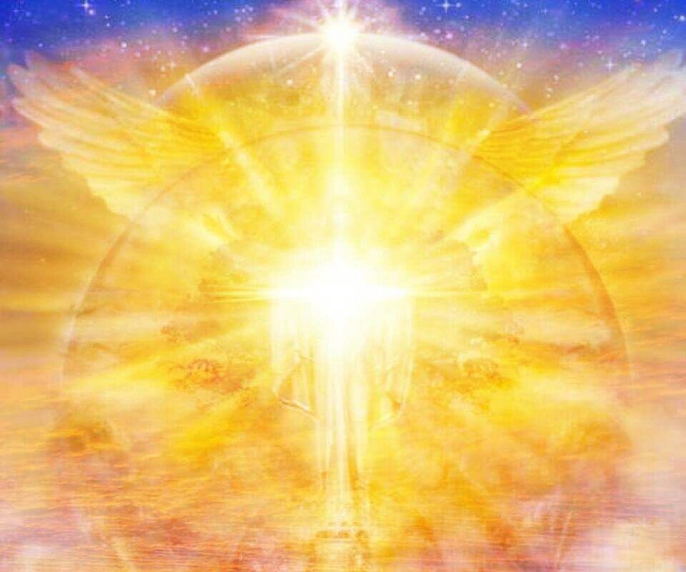 Фото взято из открытых источников