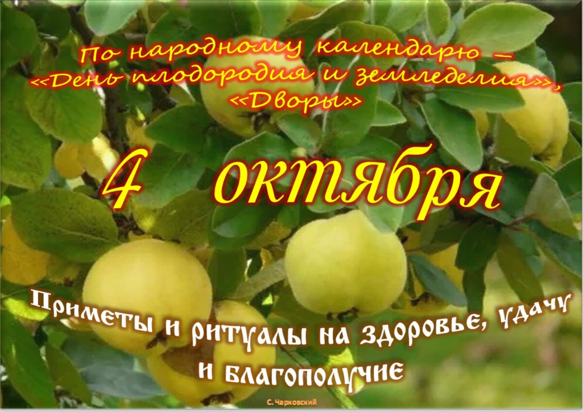 4 октября - Приметы, обычаи и ритуалы, традиции и поверья дня. Все  праздники дня во всех календарях. | Сергей Чарковский Все праздники | Дзен