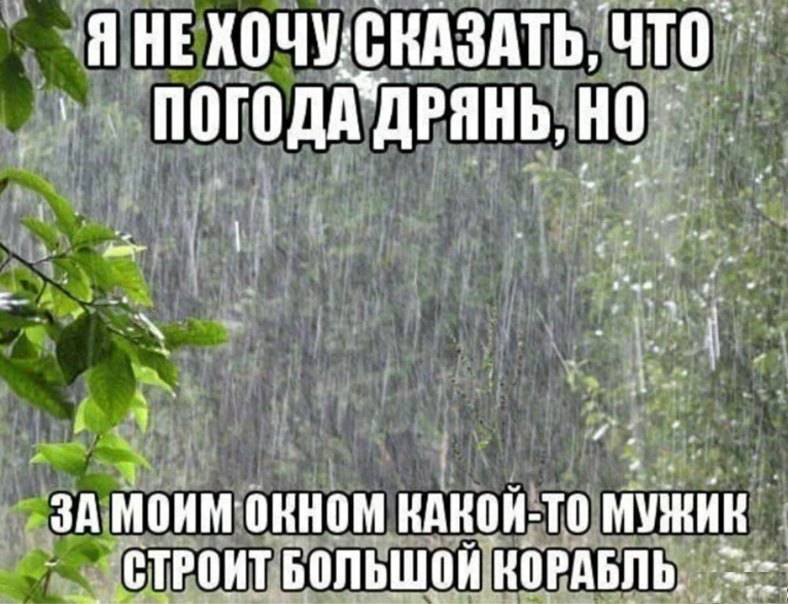 Погода была ужасная ветер штормовой ревел с ночи дождь лил как из ведра схема