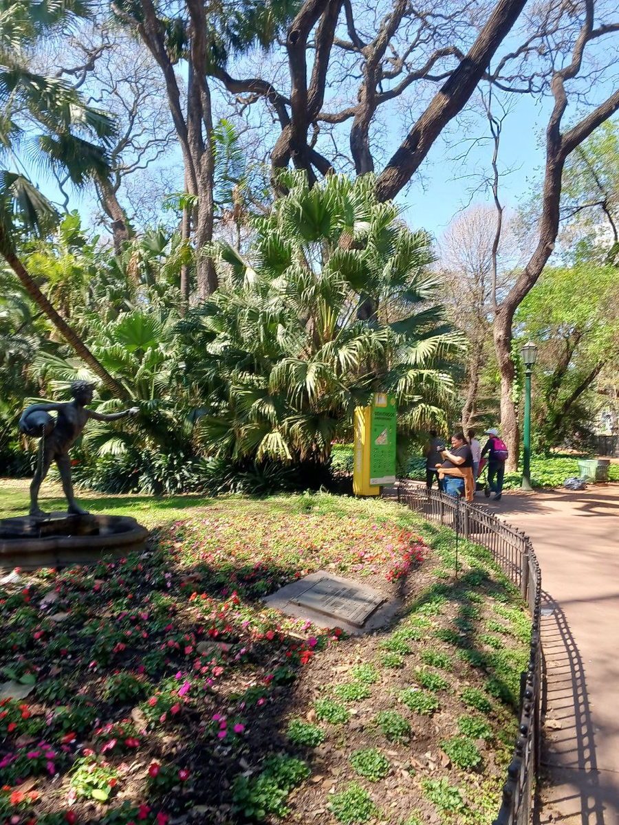 На самом деле, камера не передает все краски такими, как они есть на самом деле