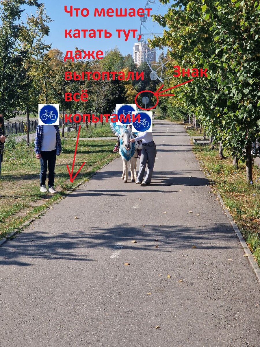 А за лошадью сюрприз, вот какому то велосипедисту будет подарок...