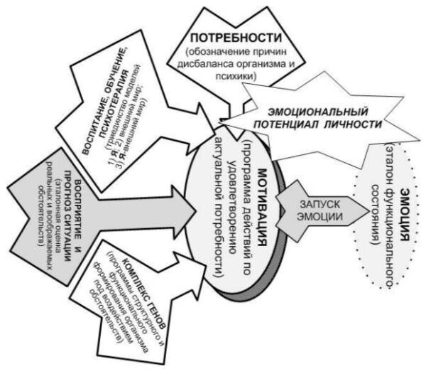    -  3  5 - Pro-Psixologyru