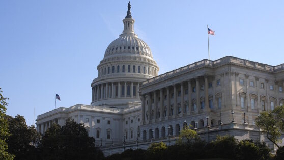    В США назначили исполняющего обязанности спикера палаты представителей Егор Ильяшов