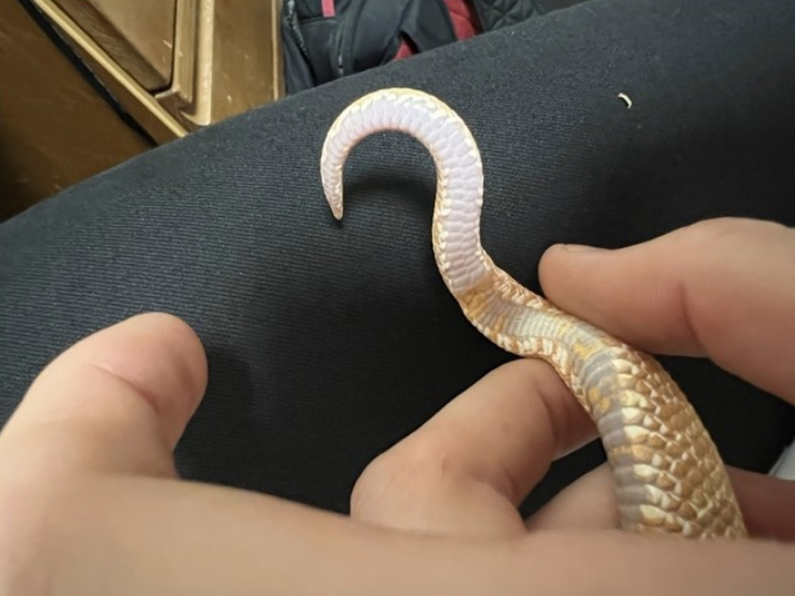 Ну как, нашли?