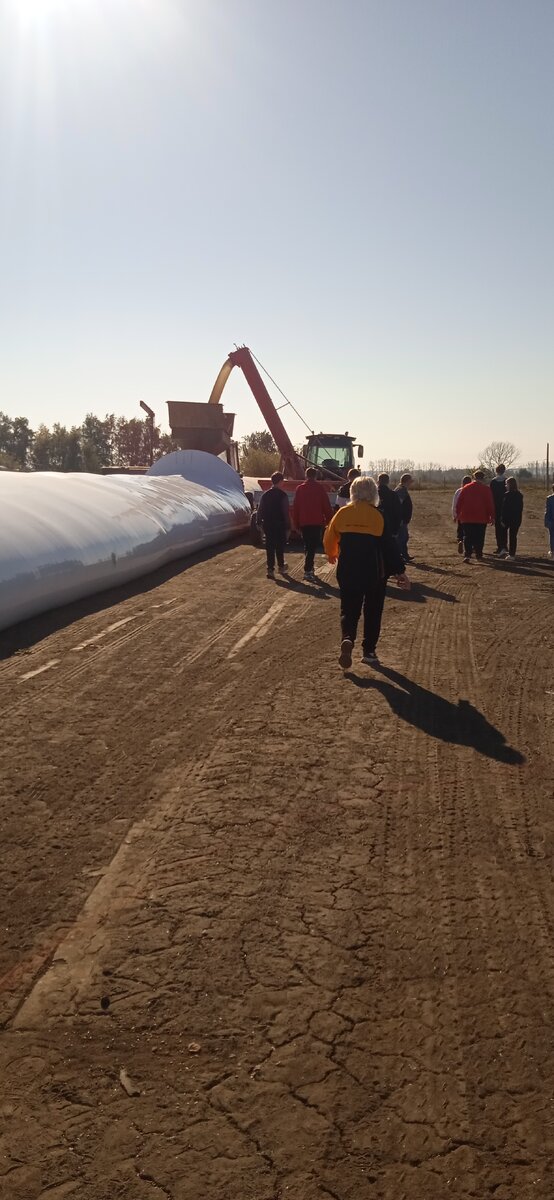 Идём к одному из рукавов