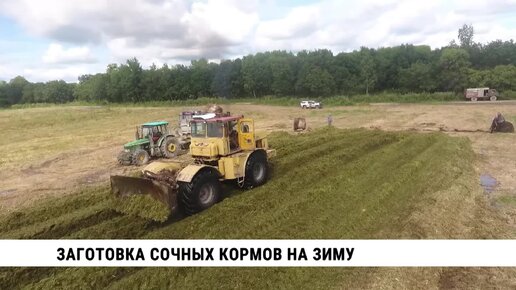 Фермеры Хабаровского края заготавливают корма для скота на зиму