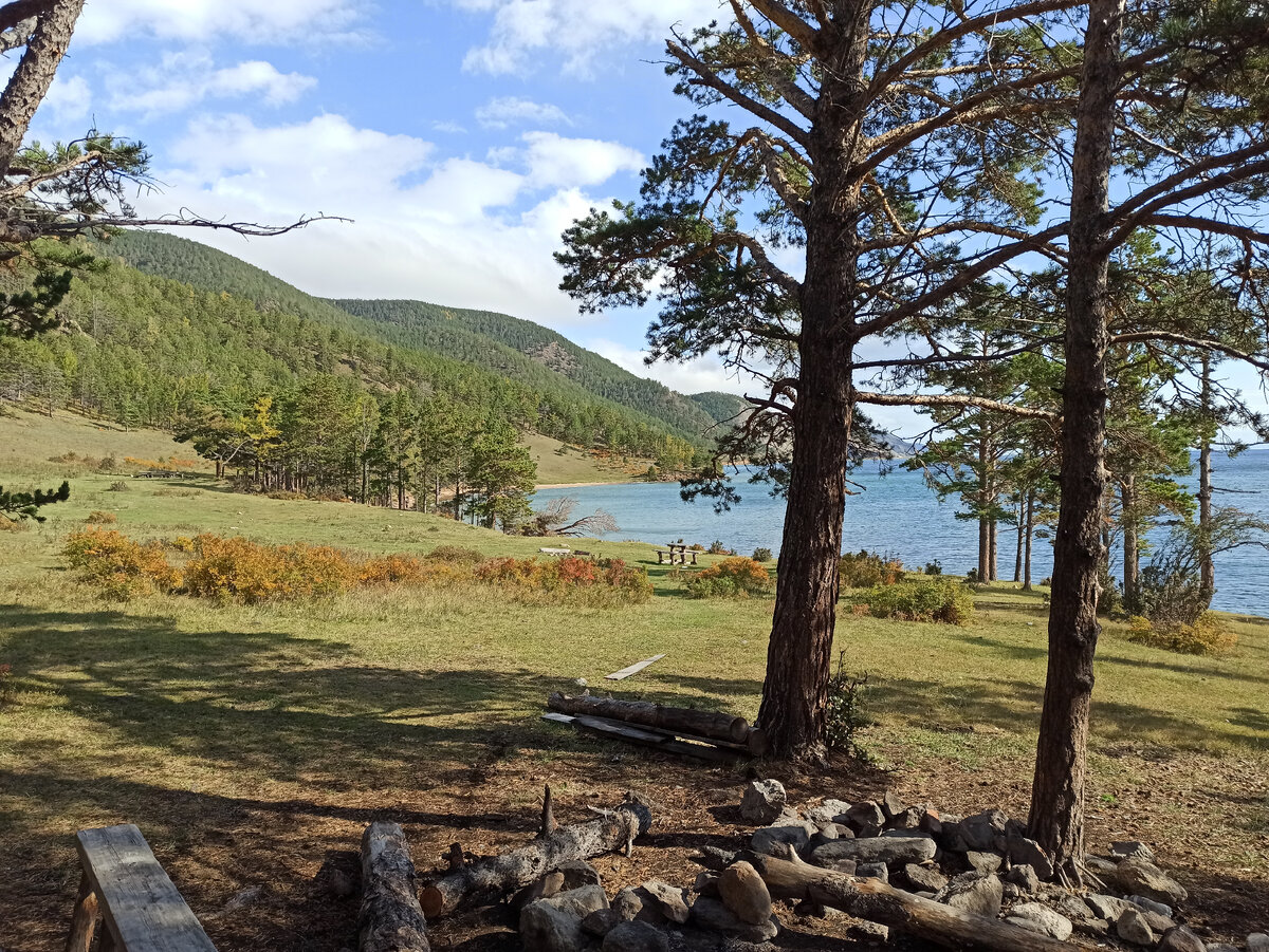 Начало путь. Муравьиная поляна