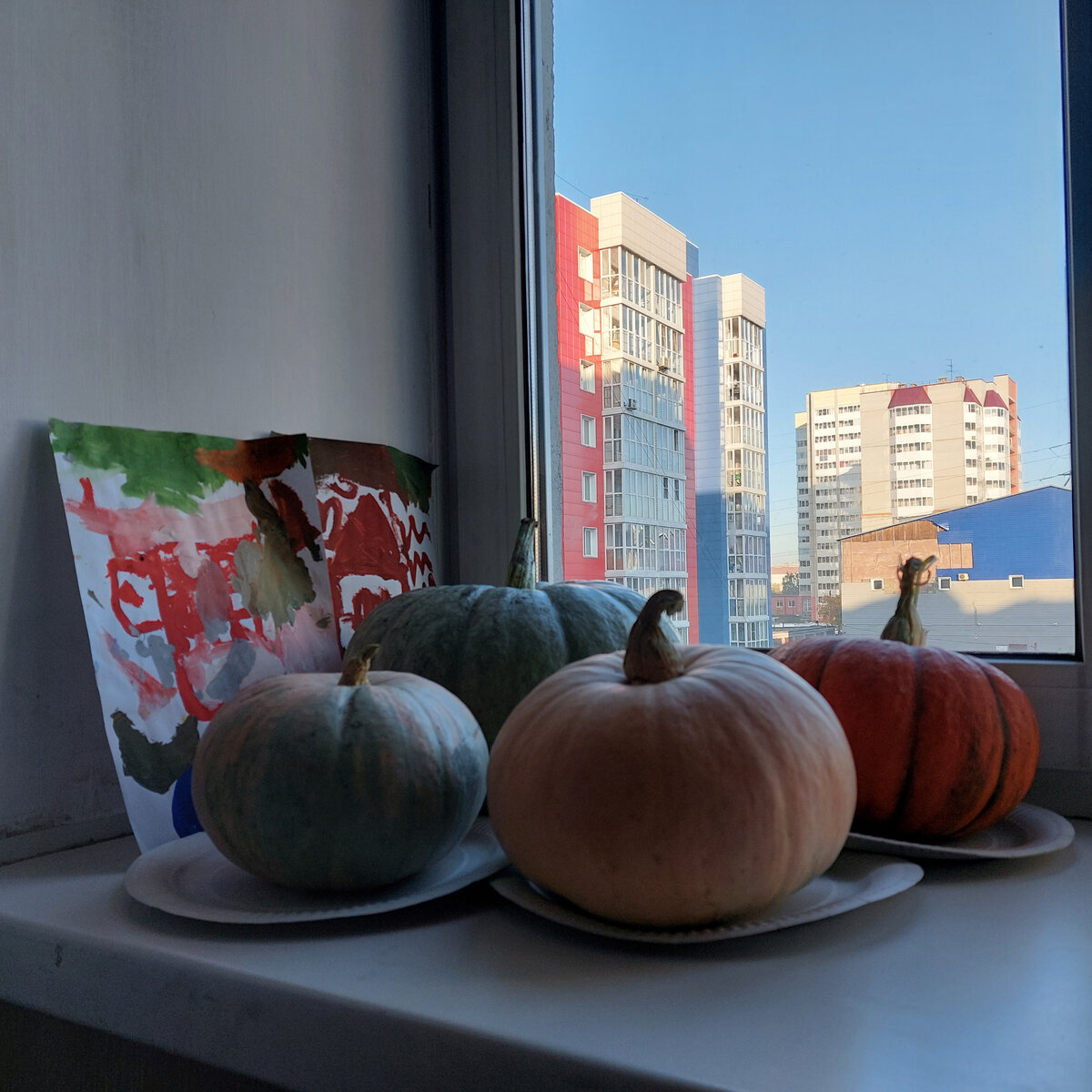 Это наш сегодняшний ТЫКВЕННЫЙ урожай. Потихоньку привозим с дачи. Лежат и на окне на бумажных тарелках. Слева художества внуков. Ищу рецепты пирогов-тортов-цукатов и проч. из тыквы  в сети. Чтобы исчез тыквенный привкус (внук не любит) добавлю в тесто-сок-цукаты ванилин или еще что-нибудь. 