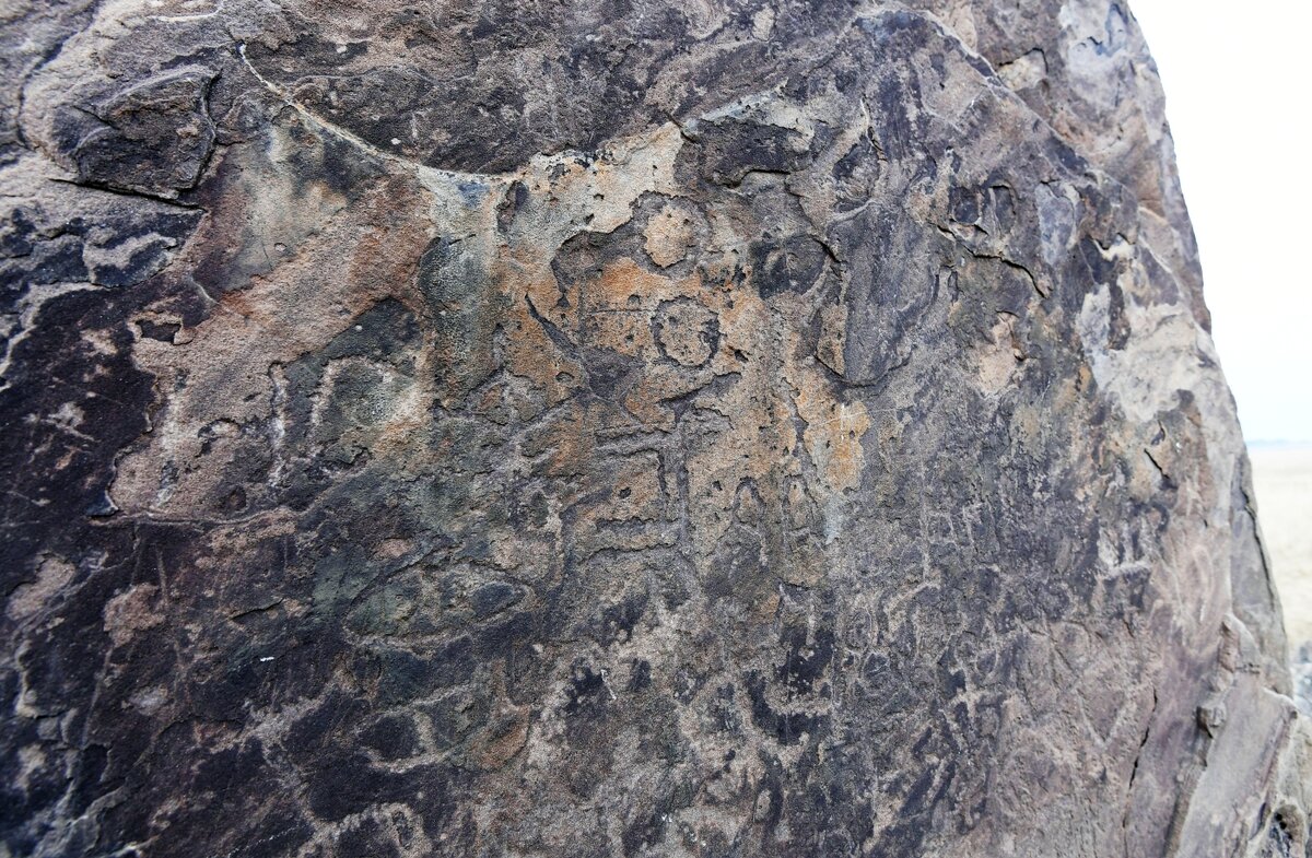 РИА Новости/ Илья Наймушин