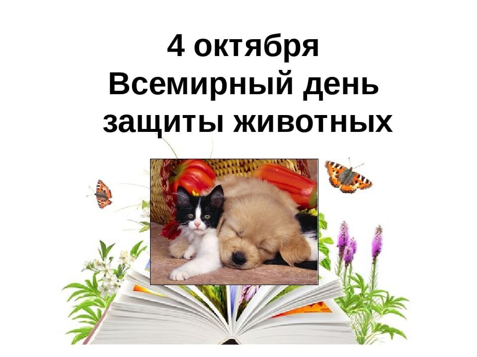 4 октября день защиты животных картинки