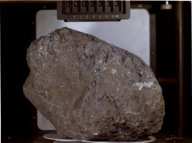 Большая Берта