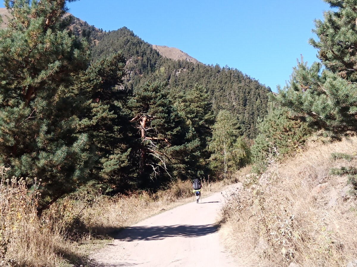 Дорога вдоль реки Муху 