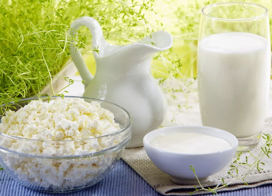 Одной из важнейших задач повышения конкурентоспособности на рынке продукции из козьего молока является расширение ассортимента. Создание технологами  различных продуктов из козьего молока : сыров, йогуртов, сухих смесей и их производство востребовано на потребительском рынке и имеет высокую доходность. Важный фактор - уникальные свойства козьего молока, по многим показателям превосходящие коровье. Гипоаллергенность, легкая усвояемость жиров, схожесть с женским молоком, наличие ПНЖК (полиненасыщенных жирных кислот)  и прочие полезные свойства делают это сырье ценным питательным, диетическим и оздоравливающим продуктом. Создание новых кисломолочных продуктов из козьего молока - популярный маркетинговый тренд, которому следуют как крупные производители, так и небольшие фермерские хозяйства. Добавление в козье молоко либо закваски из микроорганизмов, либо болгарской кисломолочной палочки, а так же других композиций позволяет получить ценный питательный и целебный продукт. Для удовлетворения запроса по диетическим свойствам можно уменьшить или исключить добавление сахара. Обогащение кисломолочных продуктов соком или сиропом плодово-ягодных растений позволит получить натуральный продукт, содержащий глюкозу и фруктозу, витамины, минералы, фруктовые кислоты. Производство кисломолочных продуктов из козьего молока носит социальный, медицинский характер, является технологически простым и может обеспечить высокую доходность производства.